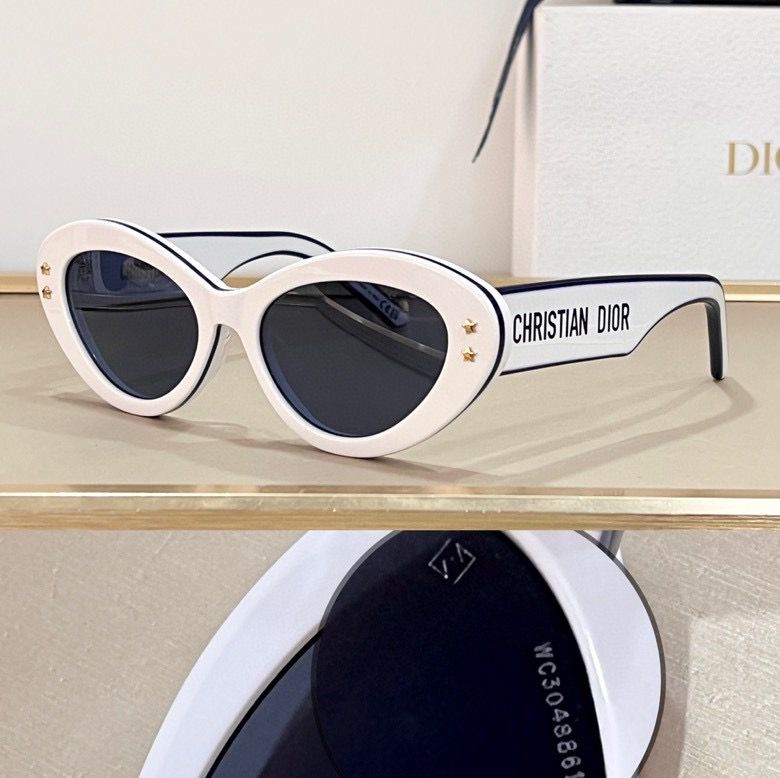 Dior Sunglass AAA 013